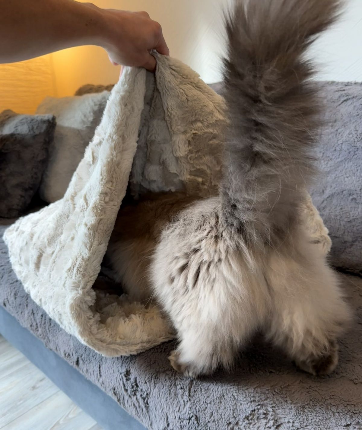 Katzenschlafsack Höhle – 2in1 Kuschelbett zum Einkuscheln & Verstecken