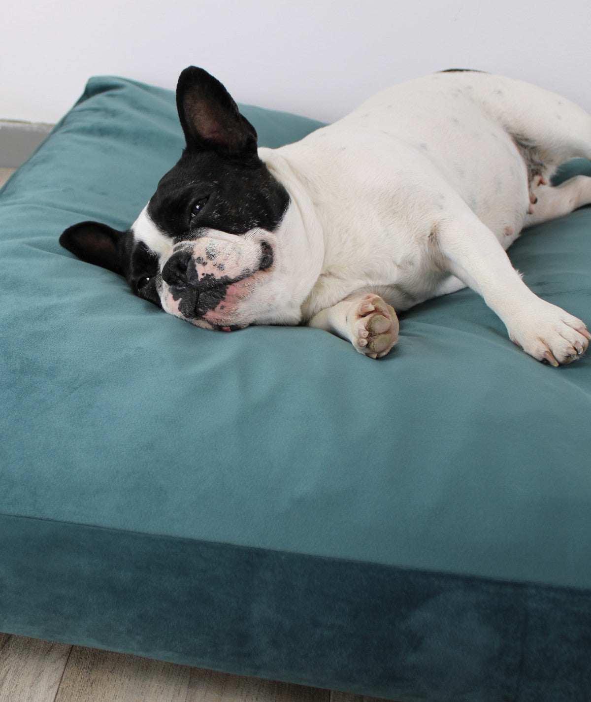 Deluxe lying cushion orthopedic dog bed corduroy and upholstery fabric