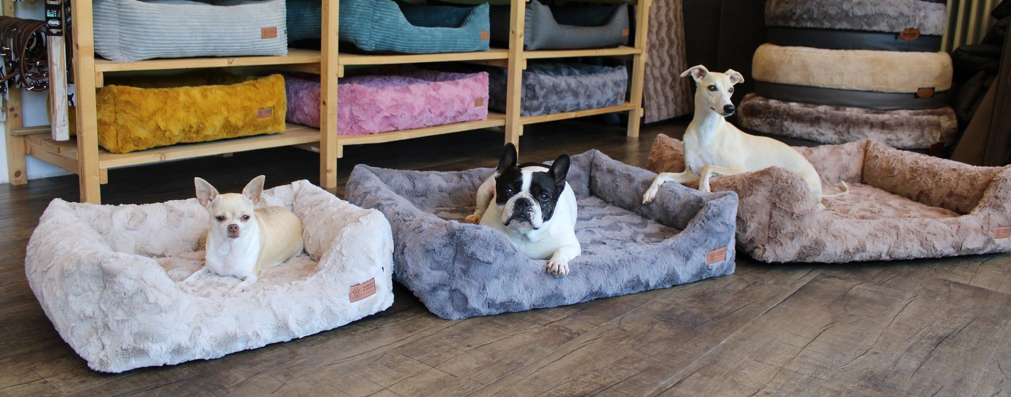 Hundebetten