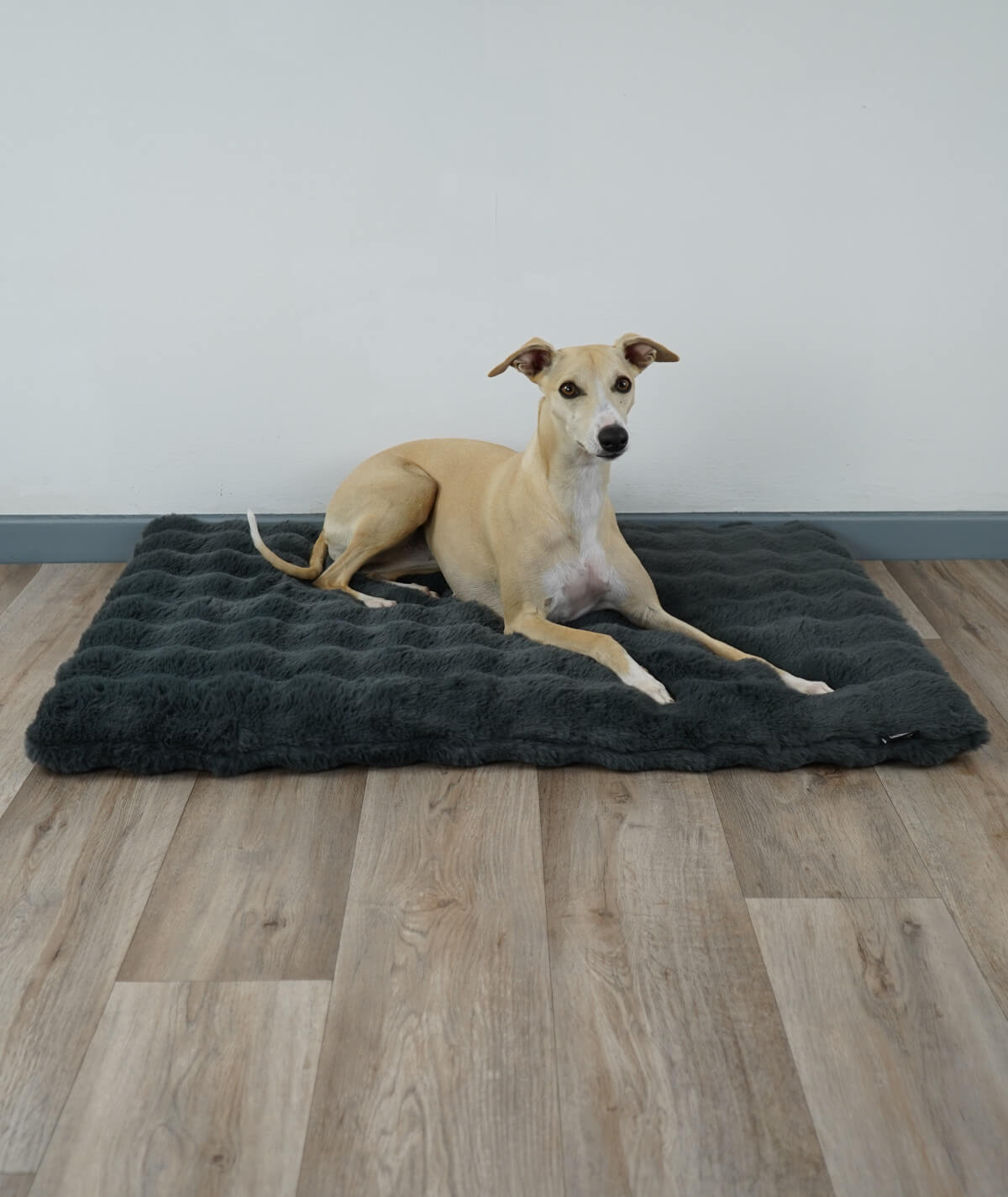 Couverture pour chien en corde avec rembourrage