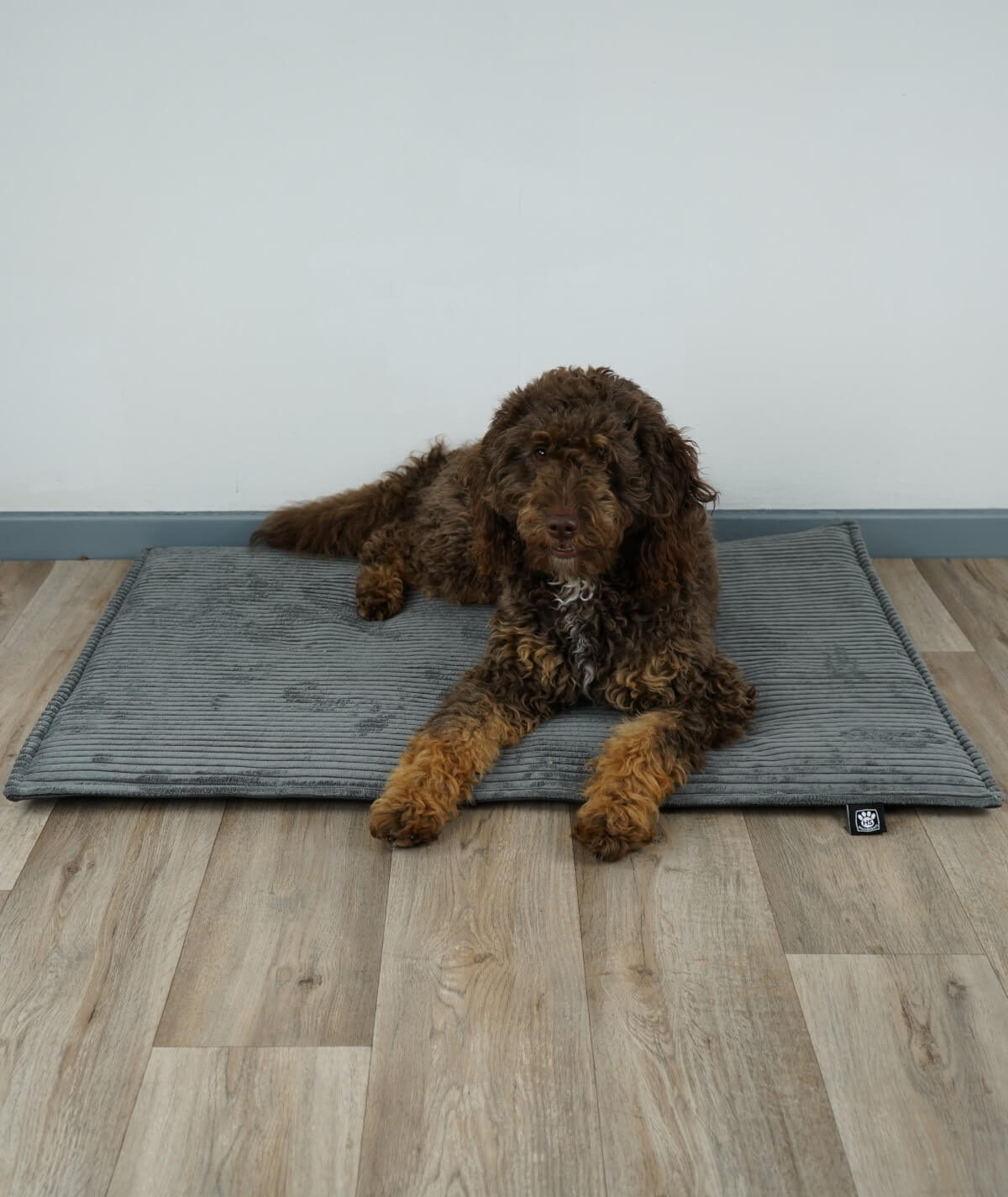 Outdoor dog blanket