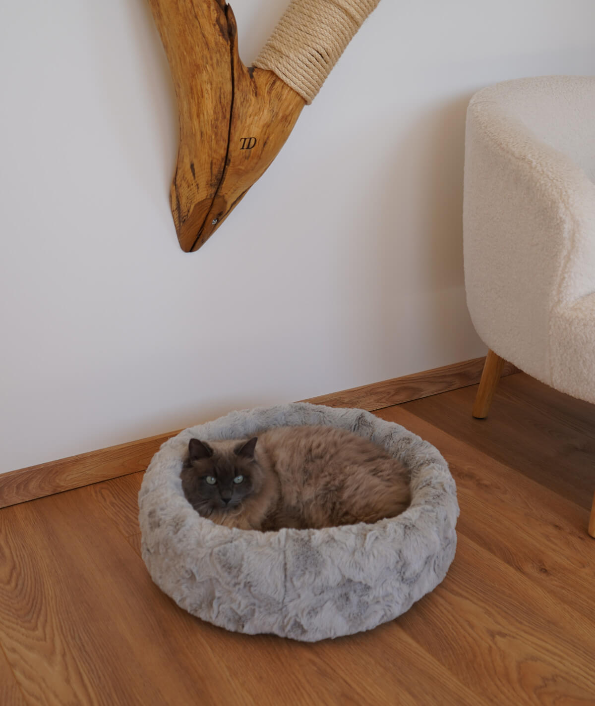 Cat bed