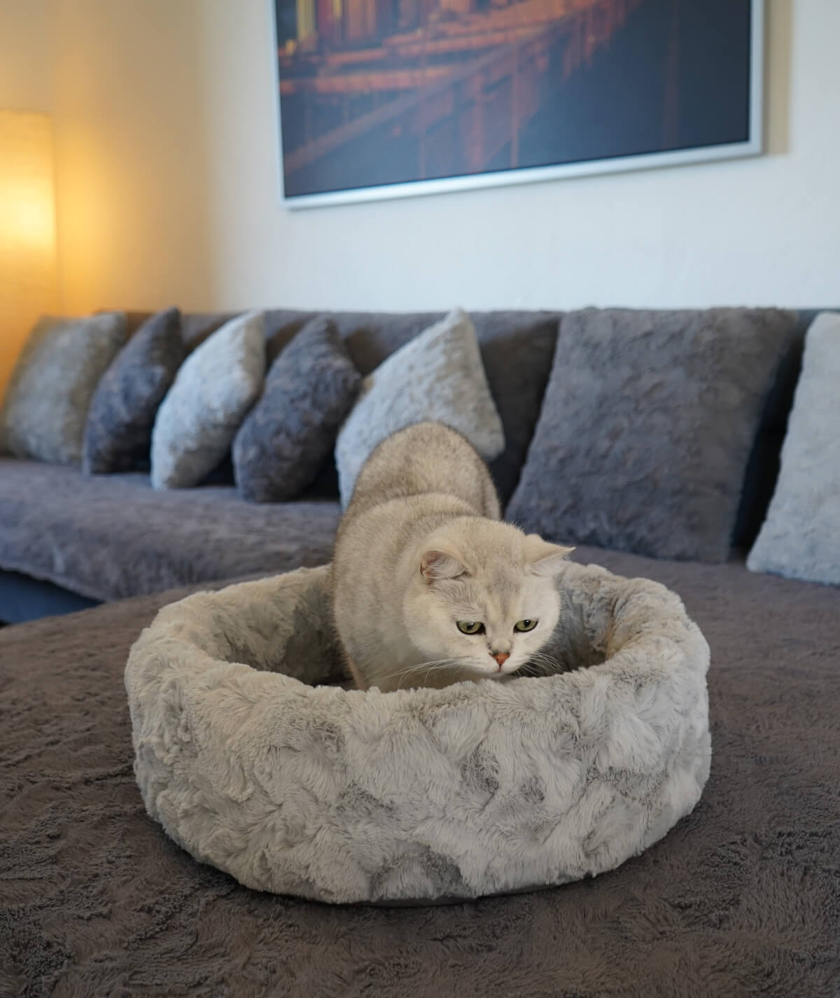 Lit pour chat