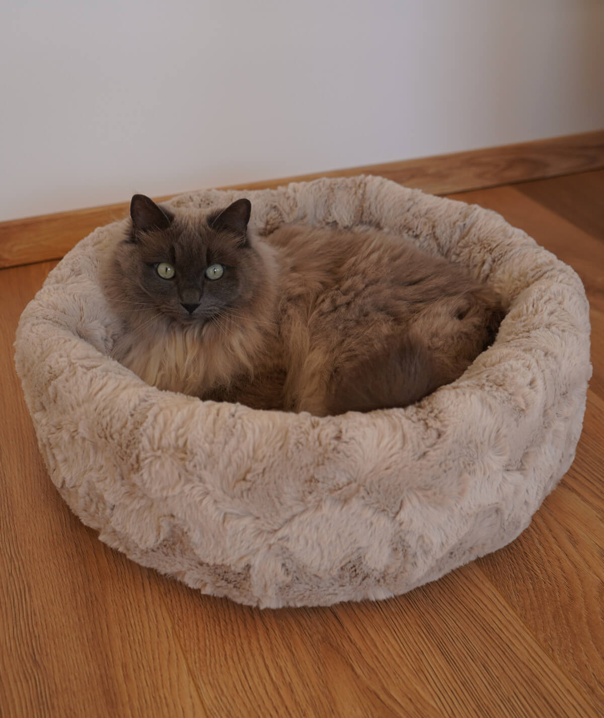 Lit pour chat