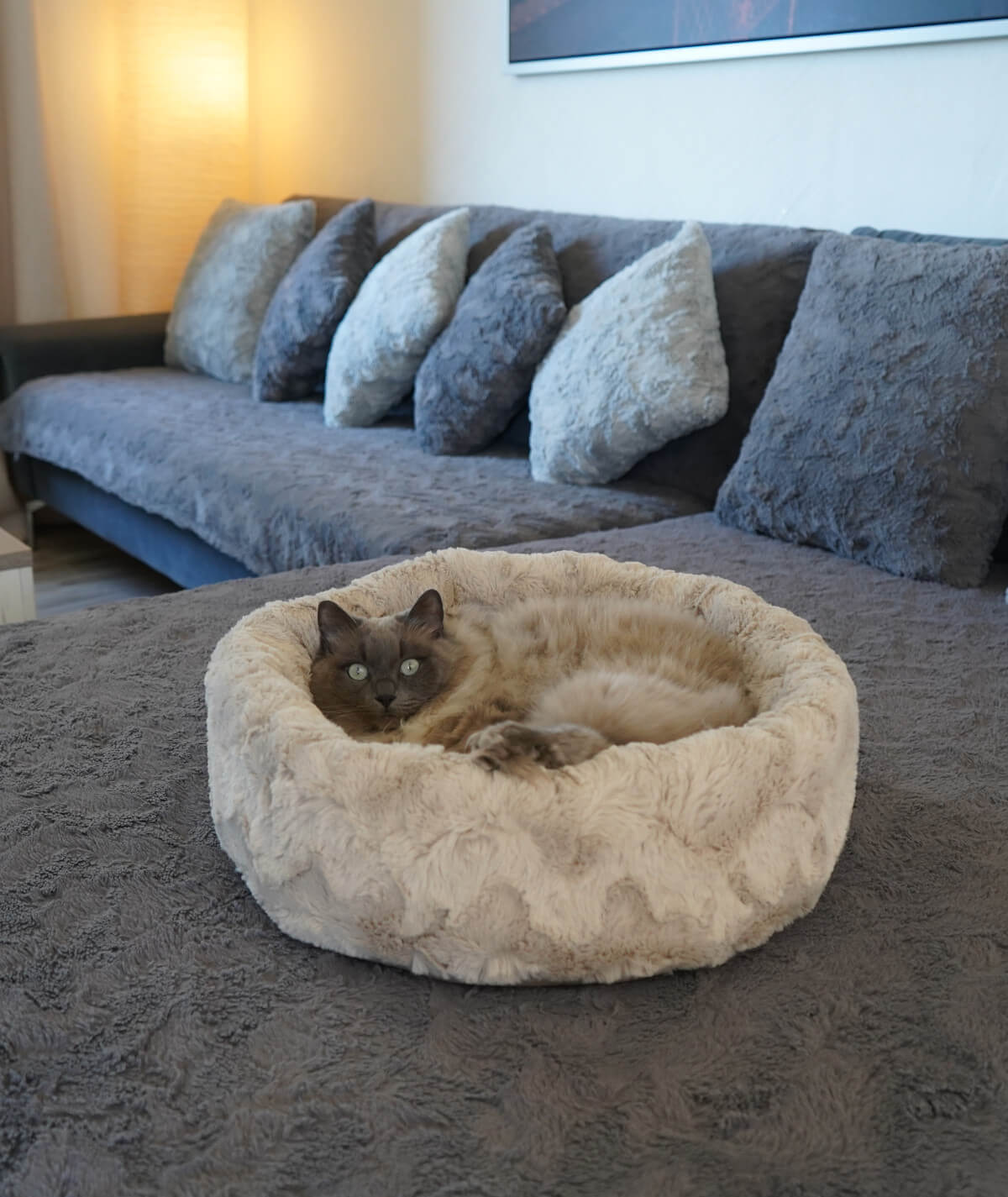 Lit pour chat