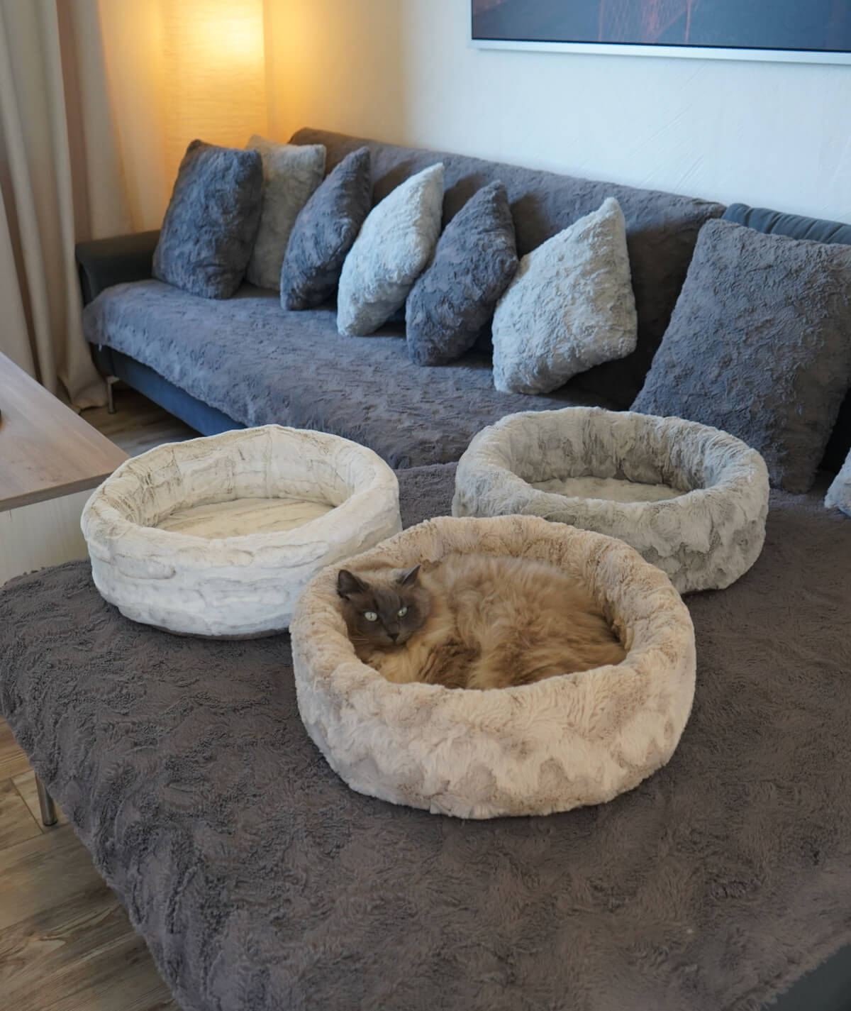 Lit pour chat