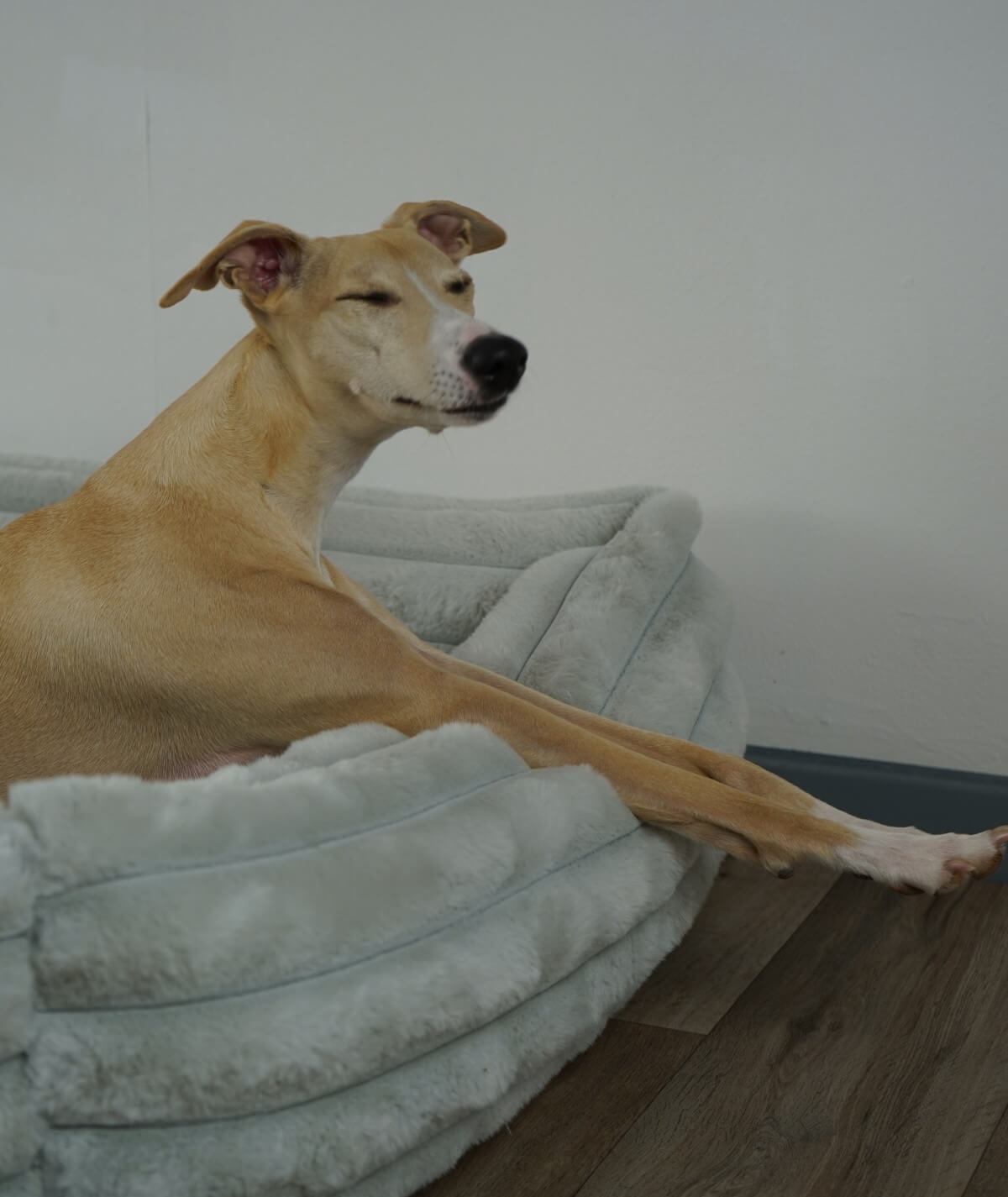 Hundebett Kuschelbett Deluxe High Exklusiv mit Einstieg orthopädisch