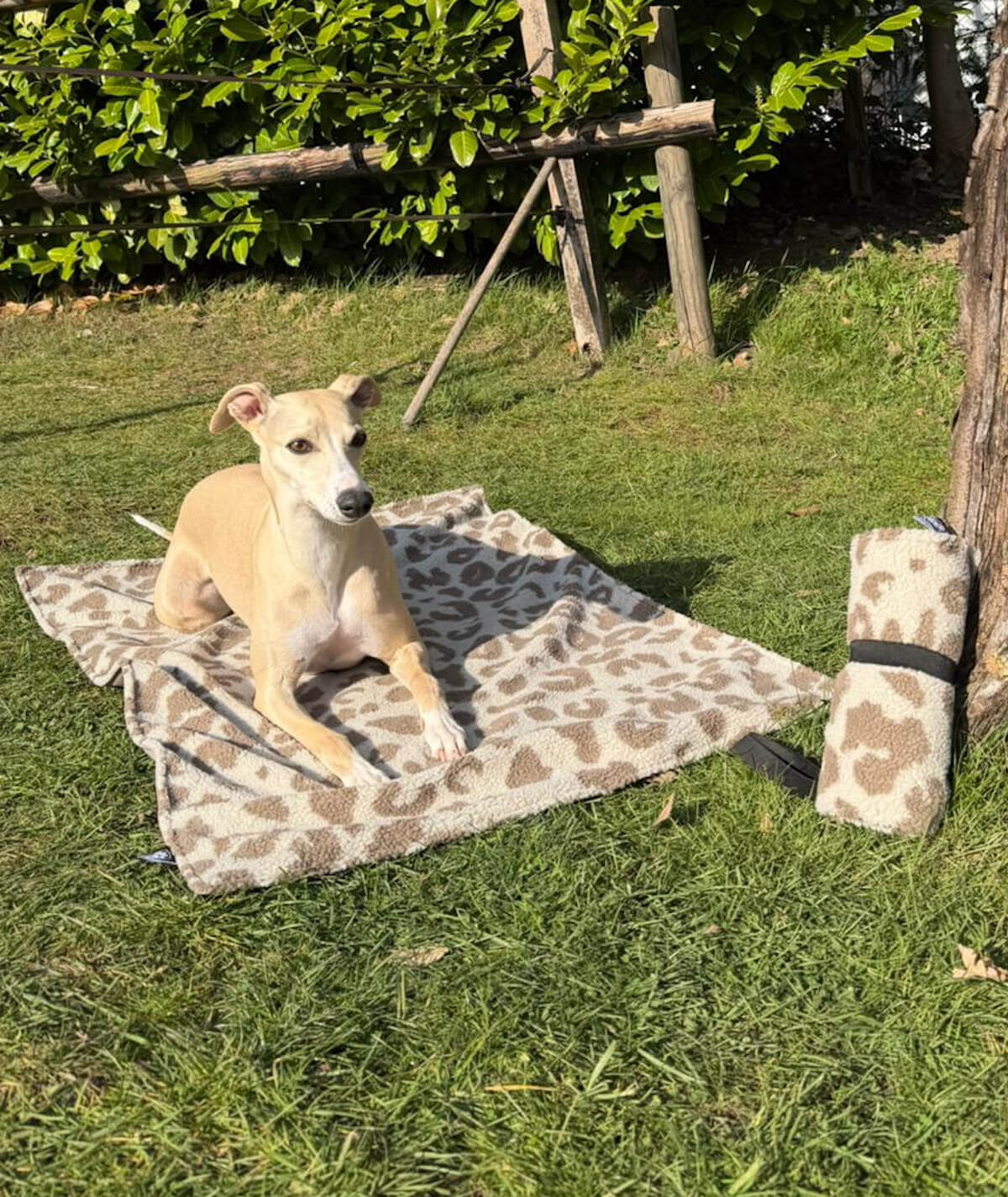 Outdoor-Hundedecke ohne Füllung für unterwegs