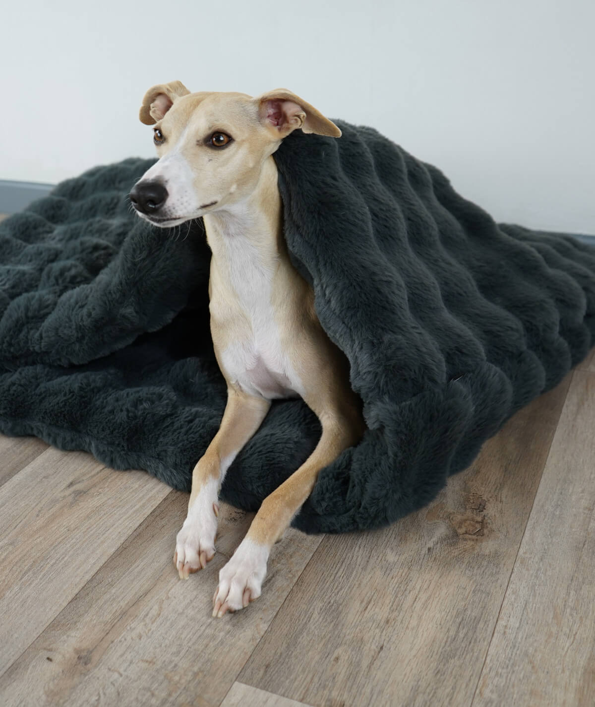 Schlupfsack Hundeschlafsack Bubble