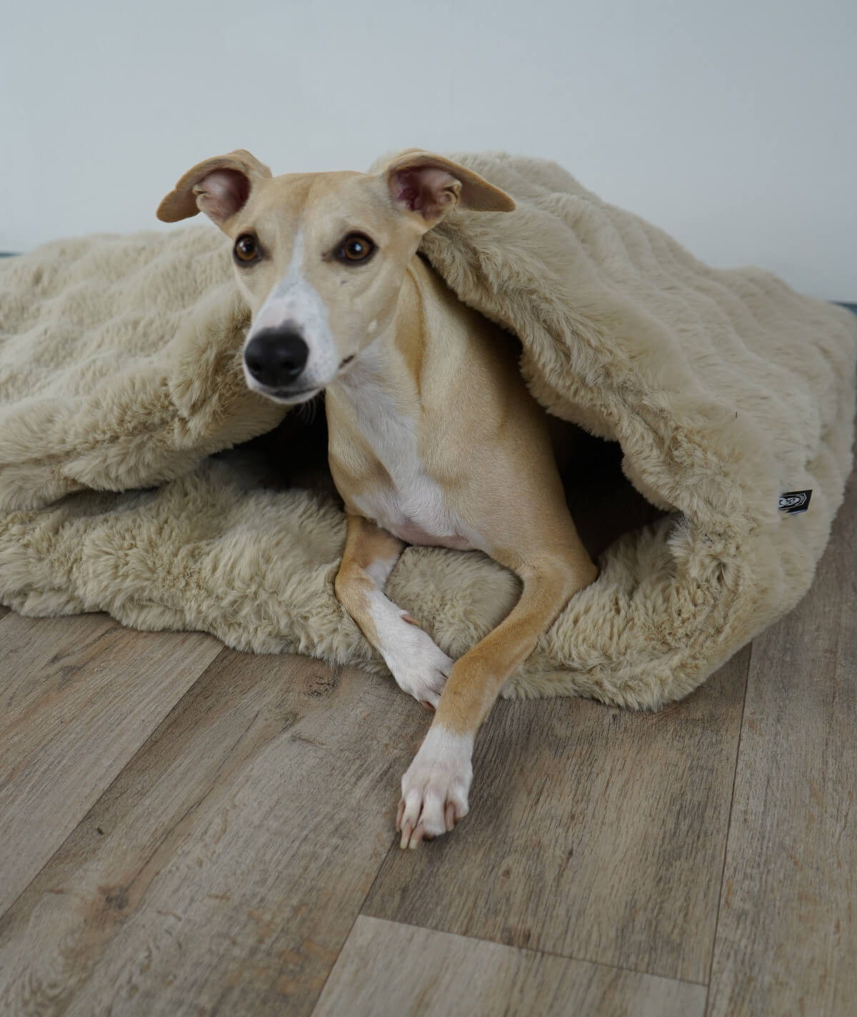 Schlupfsack Hundeschlafsack Bubble