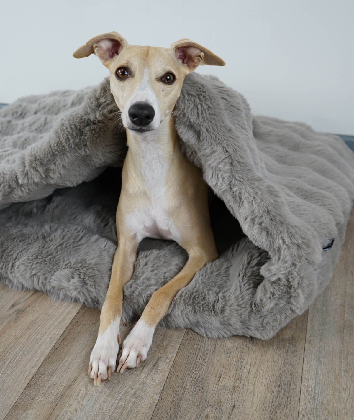 Schlupfsack Hundeschlafsack Bubble