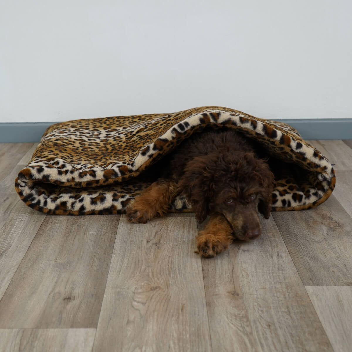 schlafsack für hunde höhle der löwen Schlupfsack Leo Höhle Hundedecke zum kuscheln