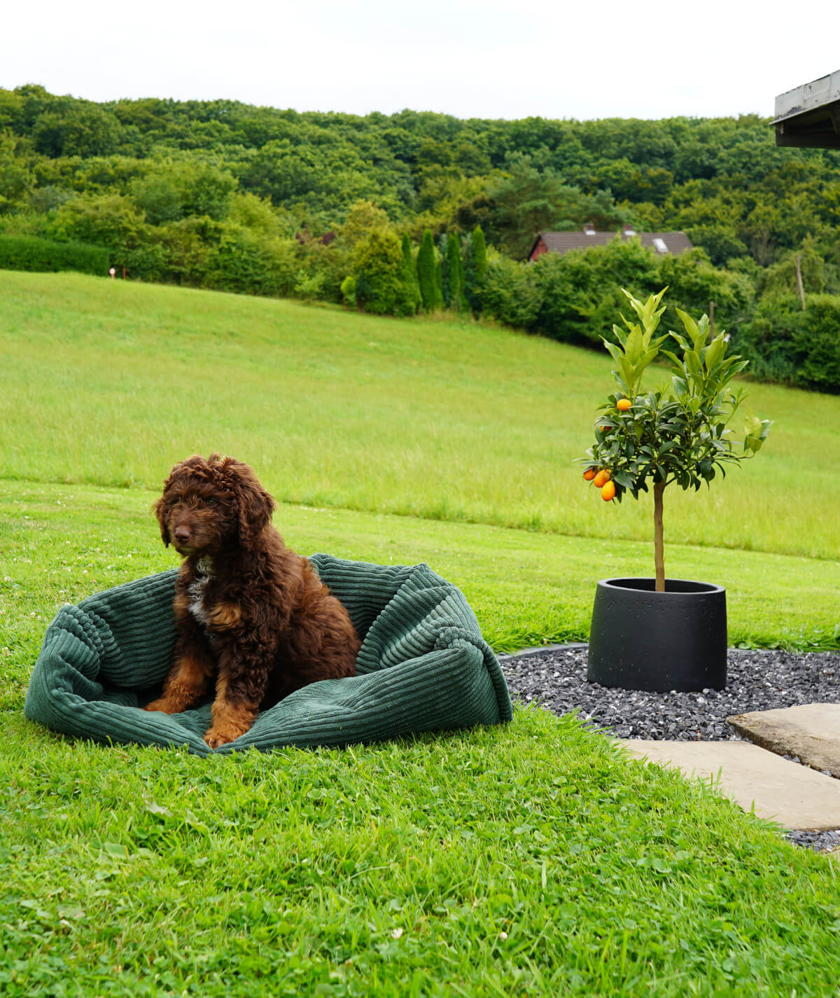 Sac de couchage extérieur