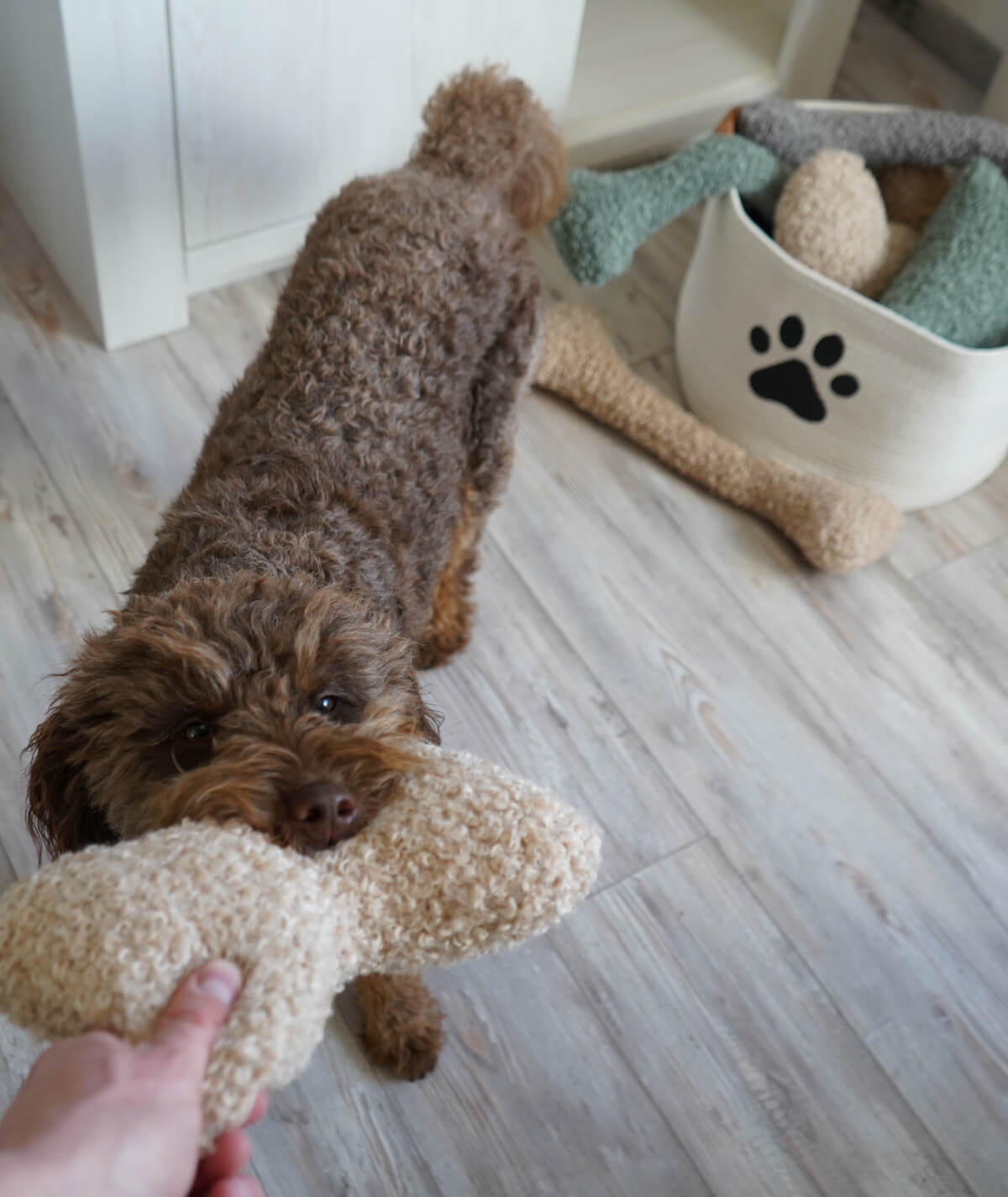 Knochen Hundespielzeug aus Teddy – robust, weich & waschbar