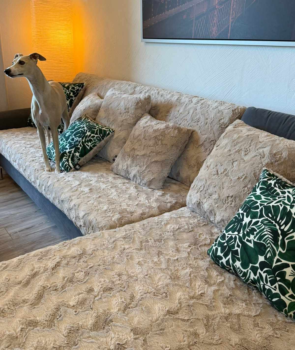 Housses de coussin HS-Home