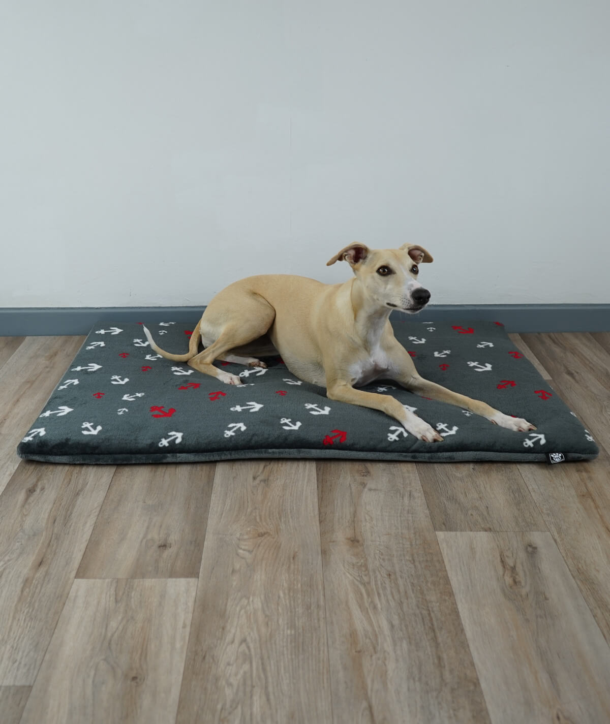 Hundedecke aus Motiv-Fleece mit Füllung – weich, gemütlich & waschbar