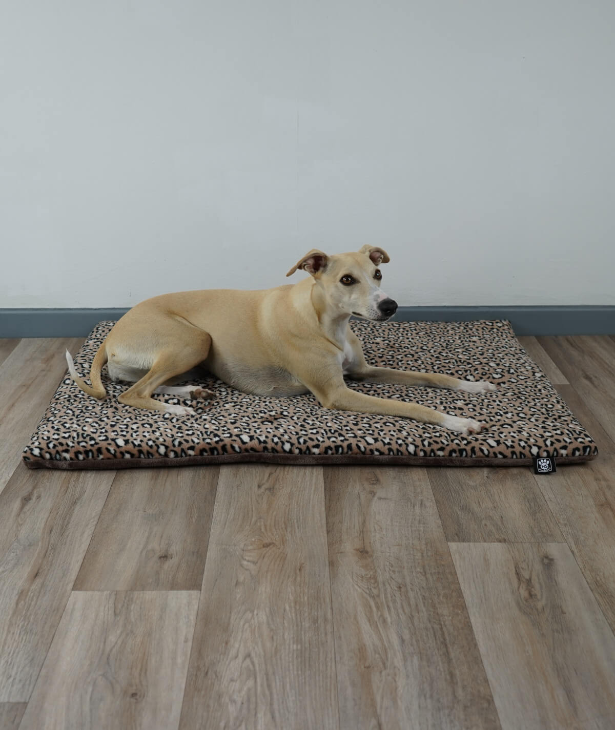Hundedecke aus Motiv-Fleece mit Füllung – weich, gemütlich & waschbar
