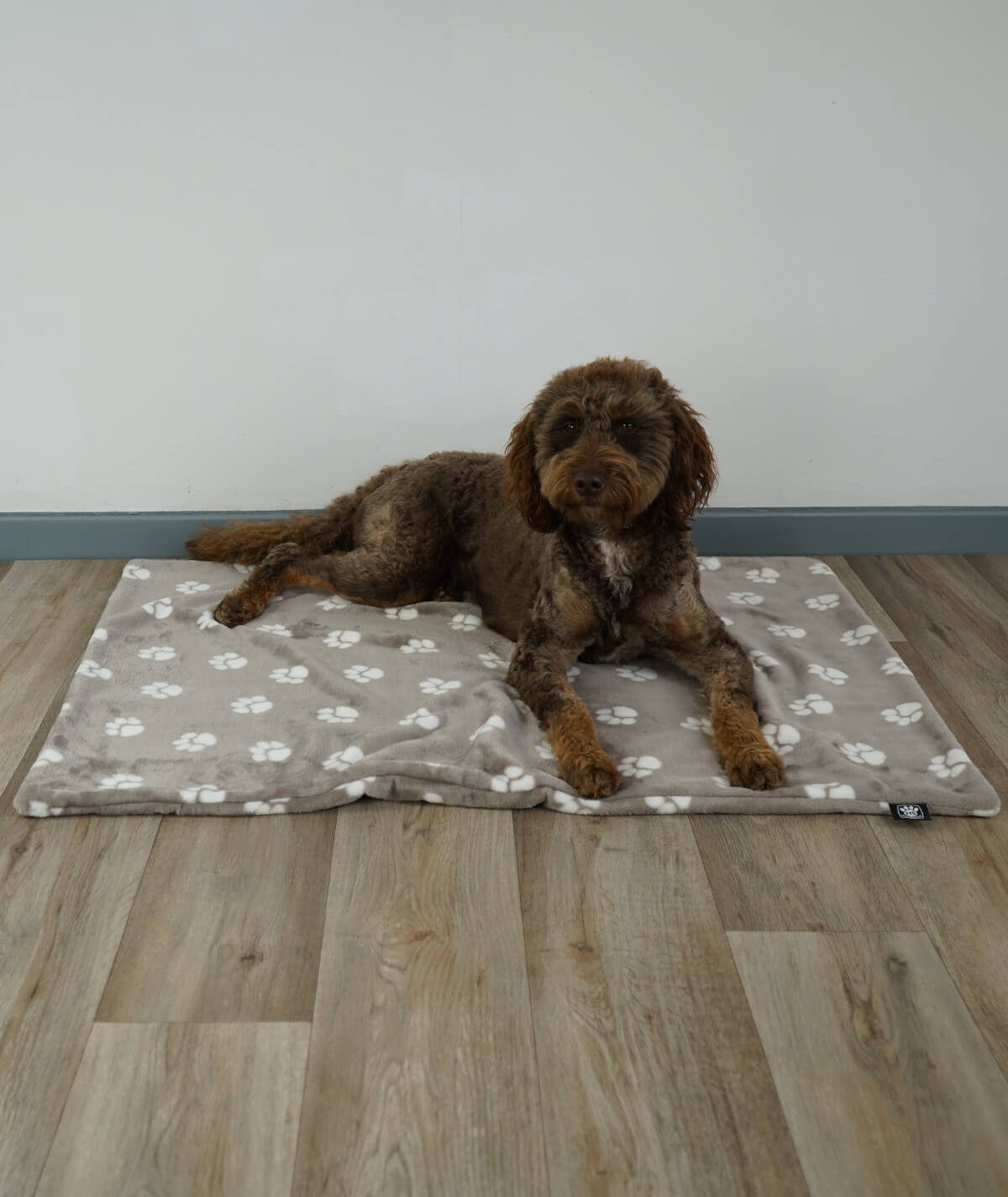 Hundedecke aus Motiv-Fleece ohne Füllung – weich, flexibel & waschbar