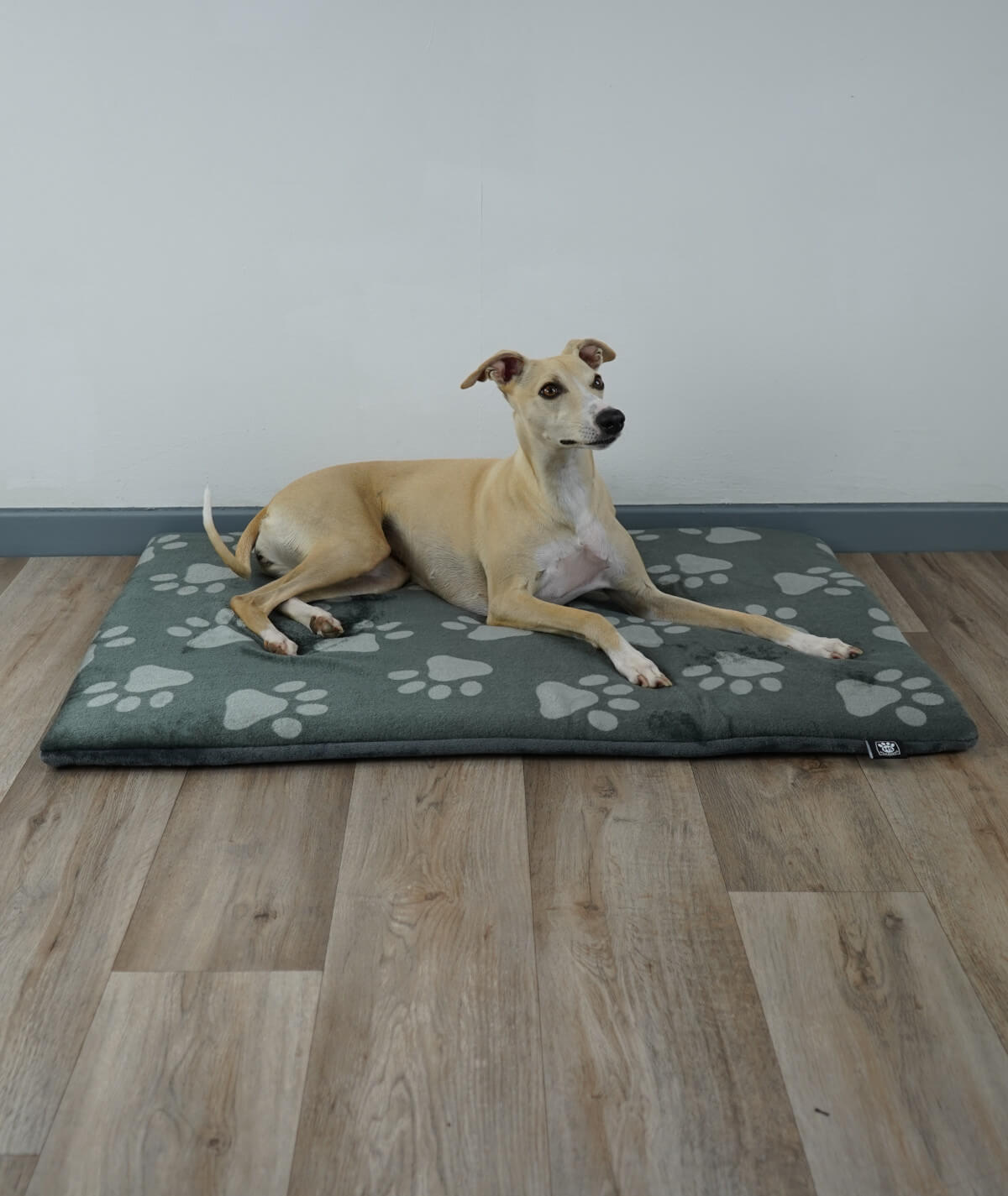Hundedecke aus Motiv-Fleece mit Füllung – weich, gemütlich & waschbar