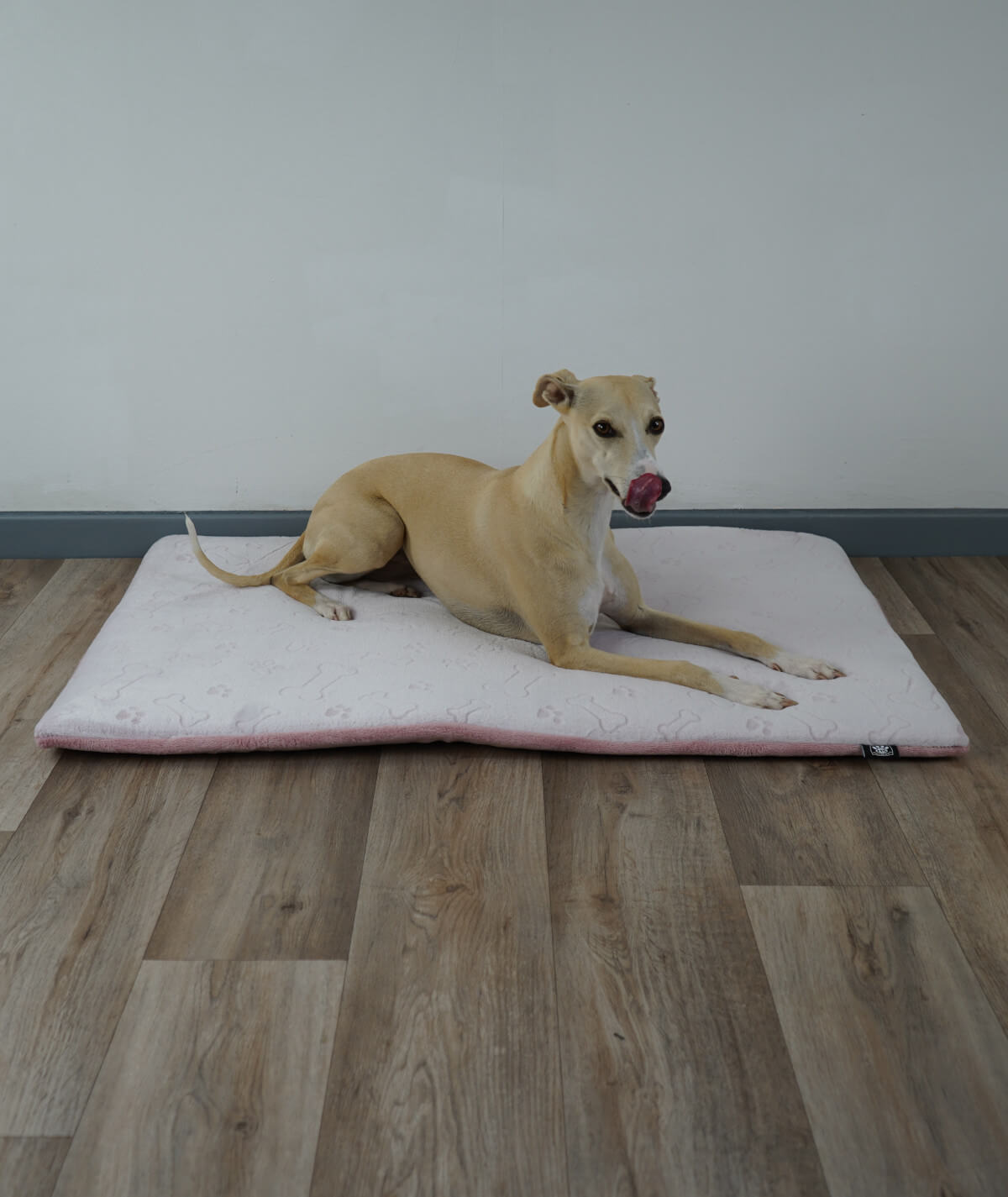 Hundedecke aus Motiv-Fleece mit Anti-Rutsch – weich, rutschfest & waschbar