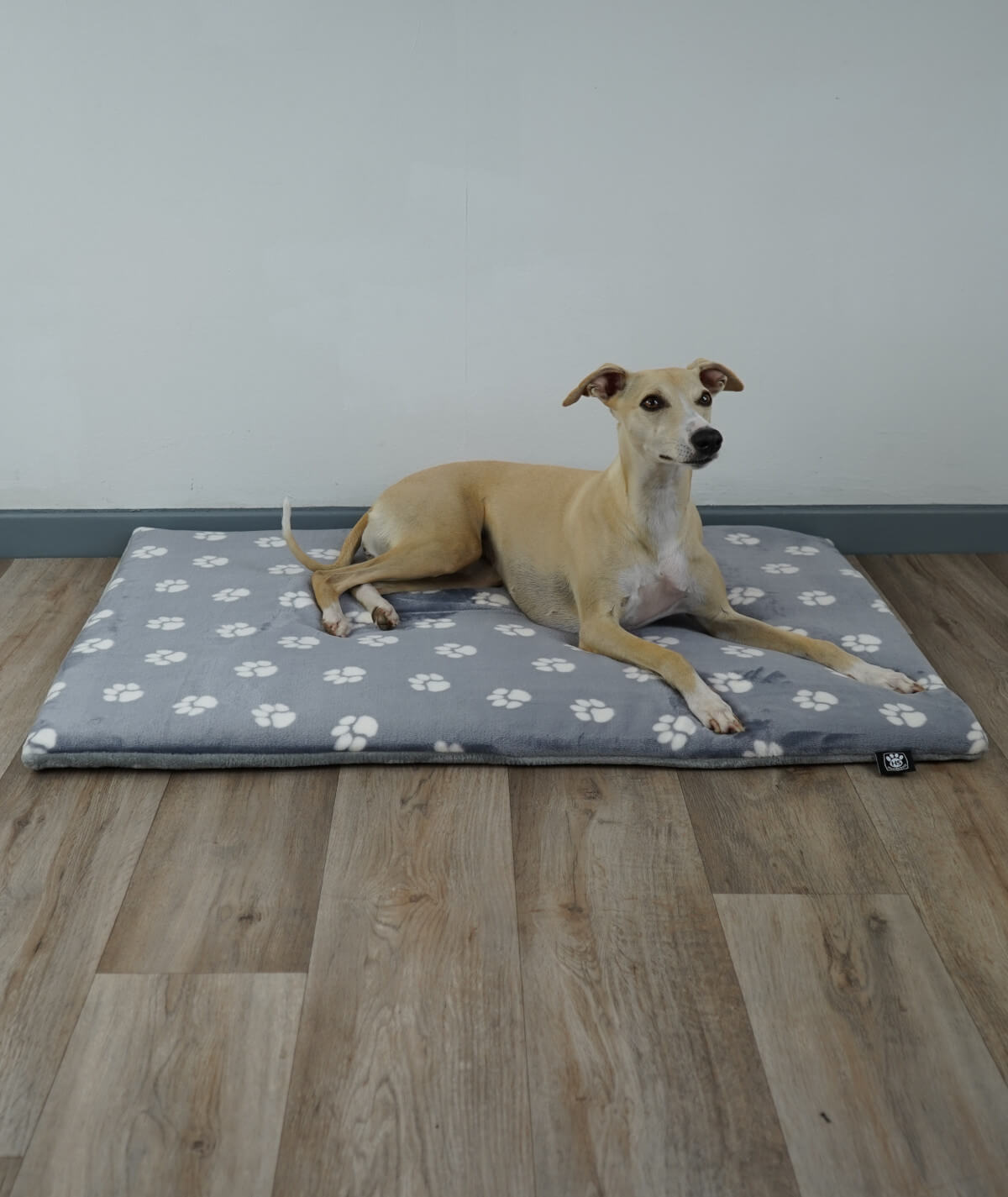 Hundedecke aus Motiv-Fleece mit Füllung – weich, gemütlich & waschbar
