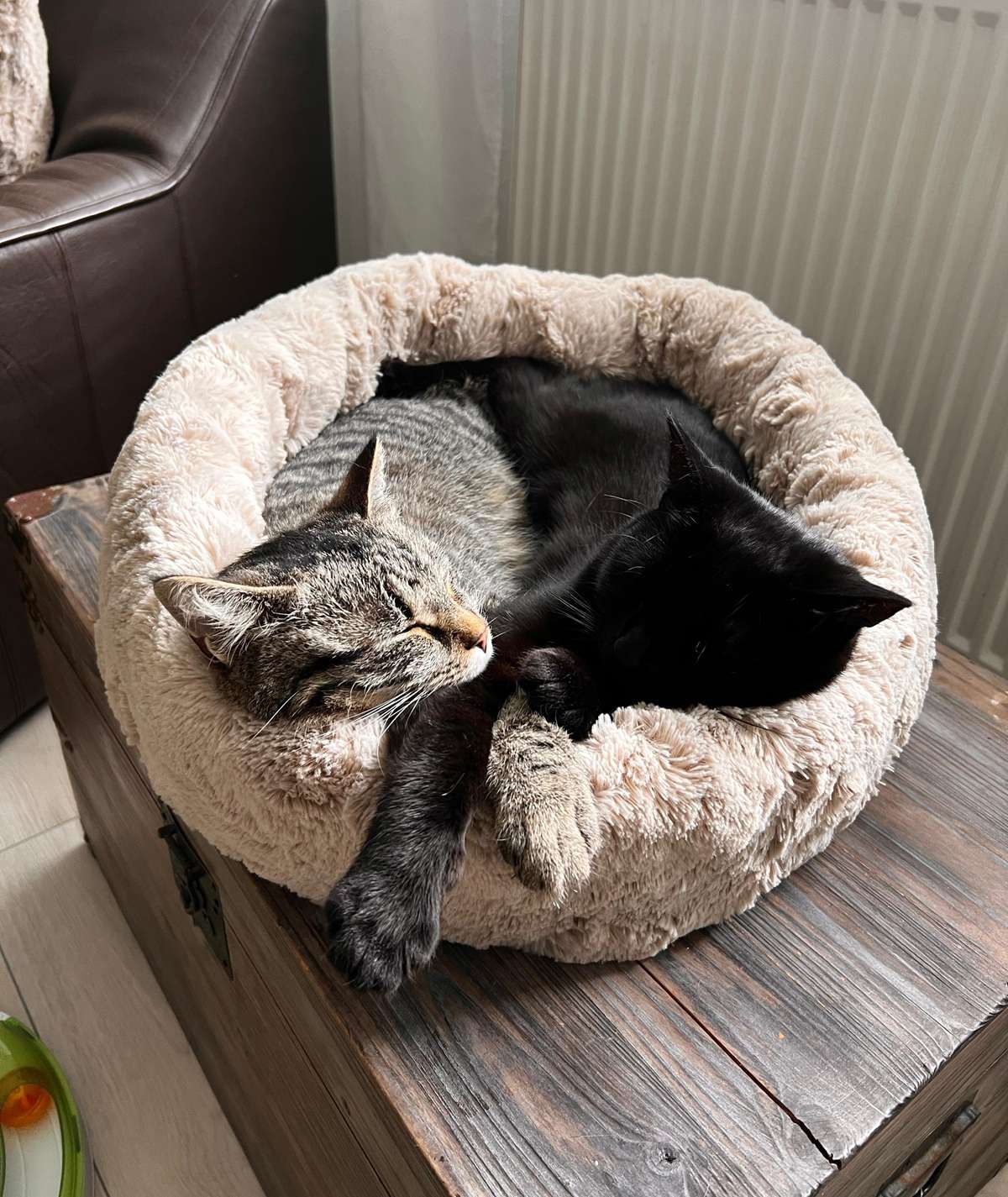 Katzenbett rund - weich, waschbar & rutschfest