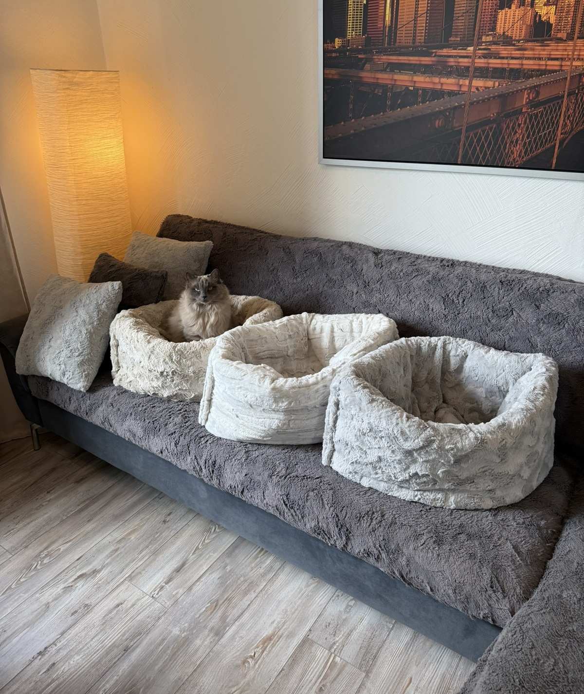Katzenschlafsack Höhle – 2in1 Kuschelbett zum Einkuscheln & Verstecken