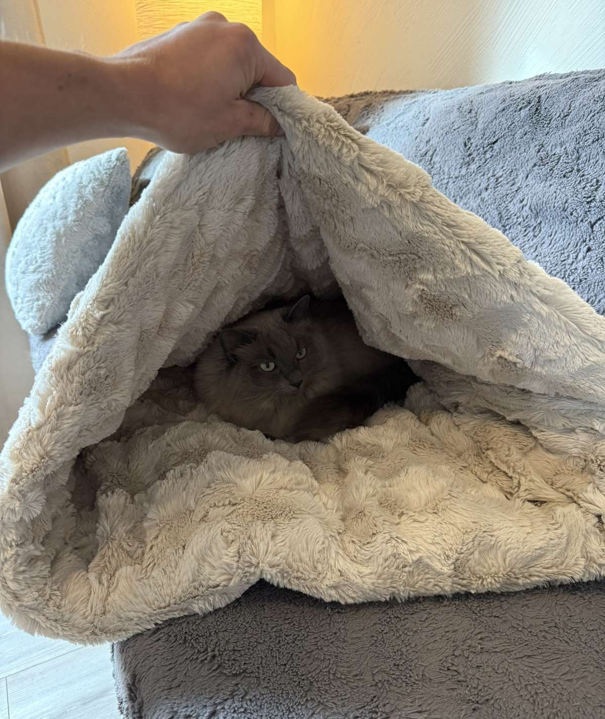 Katzenschlafsack Höhle – 2in1 Kuschelbett zum Einkuscheln & Verstecken